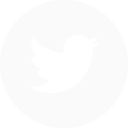 Twitter logo icon white
